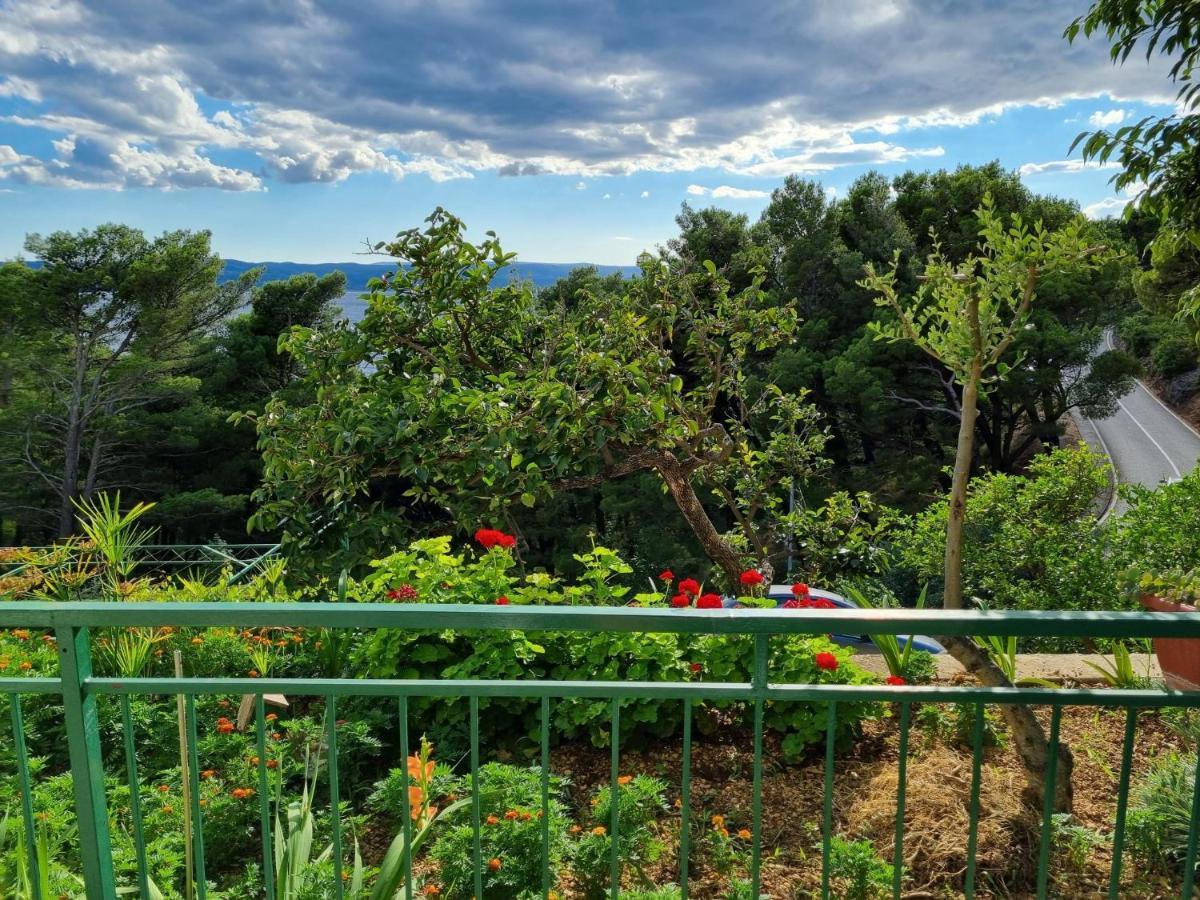 Guesthouse Dominovic Brela Exteriér fotografie